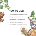 Load image into Gallery viewer, Muladhara Scalp &amp; Root Strengthening Hair Oil
