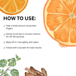 Load image into Gallery viewer, Sweet Orange Lip Scrub
